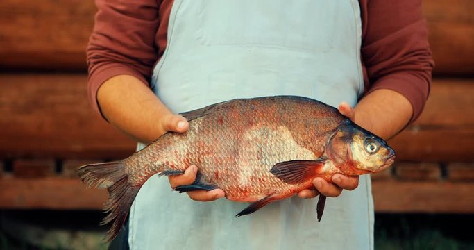 Young man cleans fish for cooking food. Remove the scales from fresh carp. Fish from a clean lake cooked in nature. Ecology concept. Urban lifestyle relax. Hipster on vacation with farm animals.
