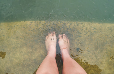 Fish spa feet pedicure skin care treatment