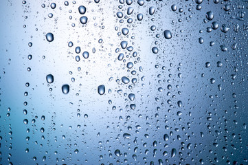 Naklejka na ściany i meble rain drops on the glass