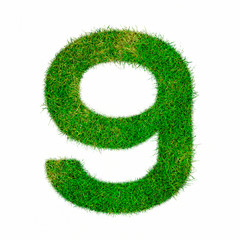 Number 9 nine made of grass - aklphabet green environment nature