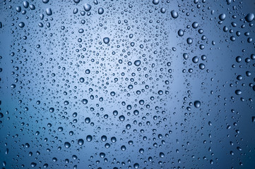 Naklejka na ściany i meble rain drops on the glass