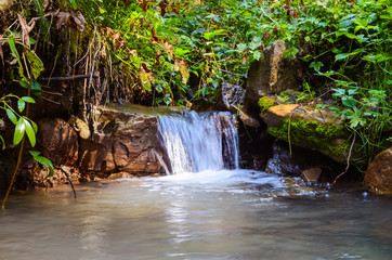 Small creek in the Carpathian mountains inthe autumn season