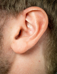 Naklejka premium macro close-up shot of human ear