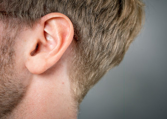 Fototapeta premium macro close-up shot of human ear