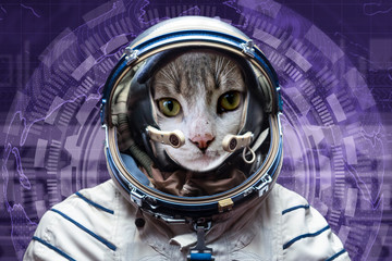curious astronaut cat in outer space, explore the universe, elements of this image furnished by nasa