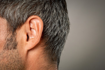 macro close-up shot of human ear - obrazy, fototapety, plakaty