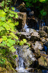 Small creek in the Carpathian mountains inthe autumn season
