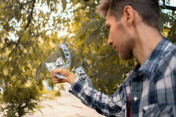 person hands pick grab or gather the dollar bills growing on the money tree branch