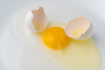 a broken white egg in the plate to prepare some food dishes