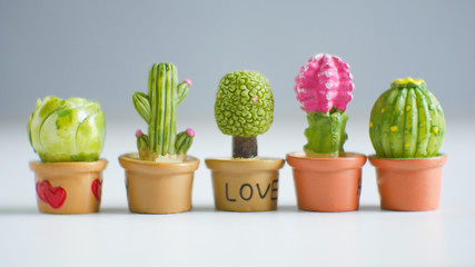 Little cactus plants on blur background.