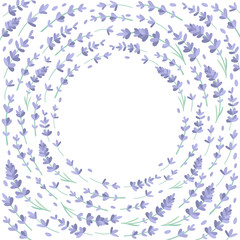 Flowers elements, frame of lavender. Vector illustration. Place for your text. The perfect design for greeting card, packaging, wedding card, kitchen decor, cosmetics, natural, organic products. 
