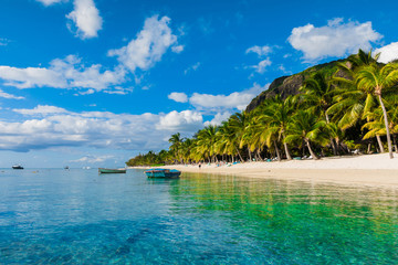 Beautiful view of the luxury beach in Mauritius. Transparent ocean, white sand beach, palms and sky