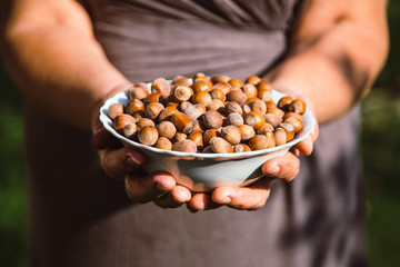 White bowl of  hazelnuts in farmer hands on natural  background. Eco healthy raw vegan food.