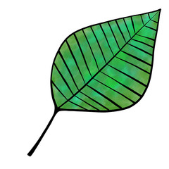 Single leaf with a black outline and green watercolor gradient filling. Isolated element on white background.