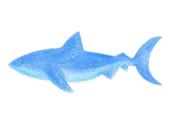 Isolated digital watercolor illustration. Big shark on white background. 