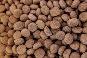 close up background of dog kibble