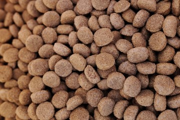 close up background of dog kibble