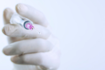 closeup hand of doctor holding syringe on white background with copy space.