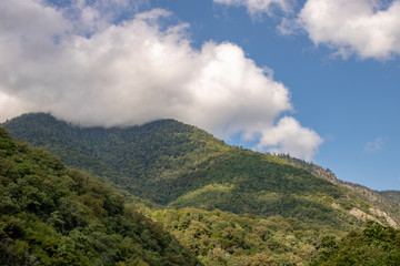 Fototapeta na wymiar mountains of Abkhazia with green vegetation