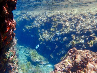南伊豆　ヒリゾ浜でシュノーケル