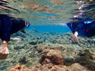 南伊豆　ヒリゾ浜でシュノーケル