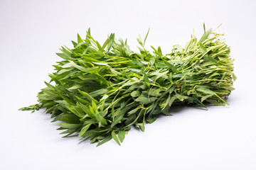 Bunch of Alternanthera sessilis in an isolated white background.