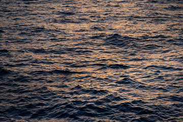 Sea in beams of sunset