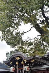 晴明神社の本殿と楠