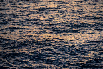 Sea in beams of sunset