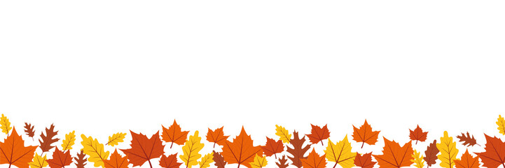 Naklejka na ściany i meble autumn leaves border on white background vector illustration EPS10