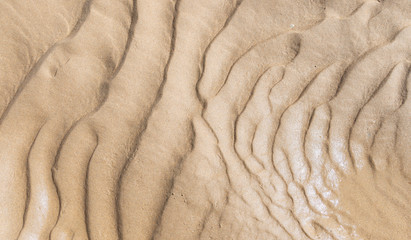 Fototapeta na wymiar Sand waves on the beach