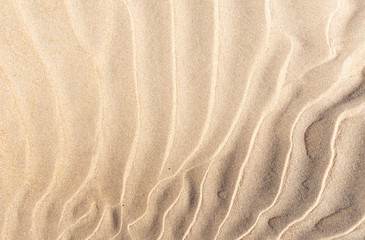 sand waves on the beach - obrazy, fototapety, plakaty