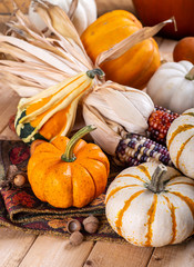 Autumn Still Life of Pumpkins and Corn