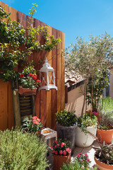Garden on the terrace, blue sky