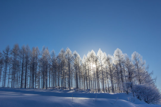 冬景色 Images Browse 39 036 Stock Photos Vectors And Video Adobe Stock