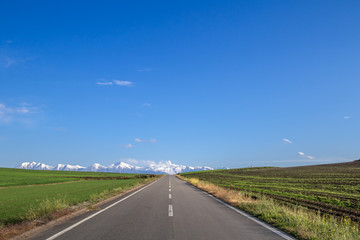 美瑛の雄大な風景