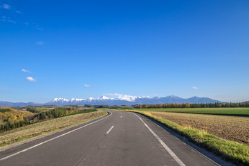 Naklejka premium 美瑛の雄大な風景