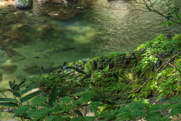 Towada Hachimantai National Park in early autumn