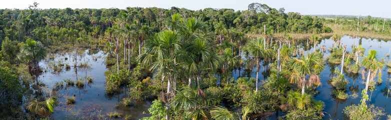 Fototapeta na wymiar Aerial panorama of an Amazon lagoon with palm trees around and in water, natural island in a agricultural area, environmental protection, San Jose do Rio Claro, Mato Grosso, Brazil