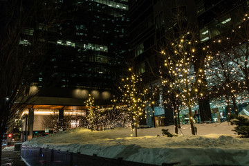 Fototapeta na wymiar Christmas lights twinkle in the city, Calgary, Alberta, Canada