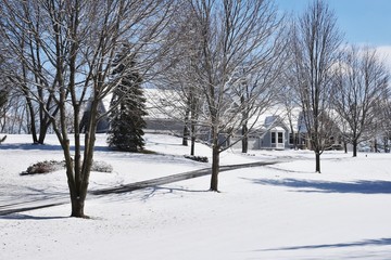 Home after Snowfall