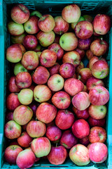 Fresh ripe red apples from orchard, displayed for sale in a plastic box, at a street food market, soft focus