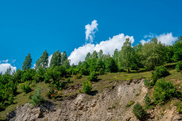 Fototapeta na wymiar Beautiful forests in the mountains of Svaneti, Georgia.