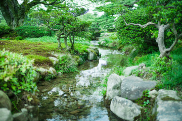 兼六園の緑の風景