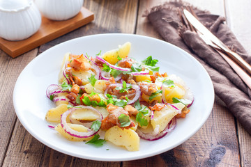 German potato salad with fried bacon, horizontal