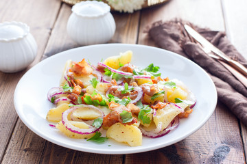 German potato salad with fried bacon, horizontal