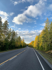 Naklejka premium Asphalt highway on a colourful autumn day. Forest glowing with vivid colors. Travel on a sunny day. Concept image.