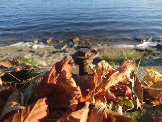 Landscape of Lake K&uuml;&ccedil;&uuml;k&ccedil;ekmece in Istanbul at autumn