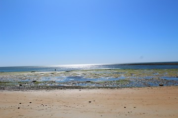 Fototapeta na wymiar La plage de la Remigeasse à marée basse