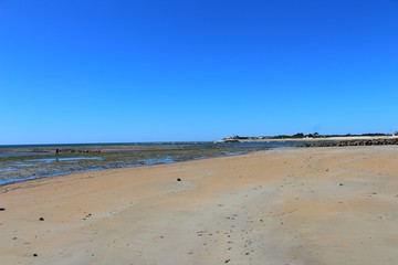 La plage de la Remigeasse à marée basse